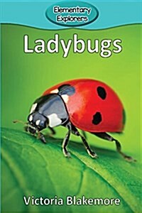 Ladybugs (Paperback)