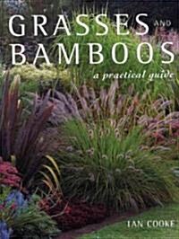 Grasses and Bamboos: A Practical Guide (Hardcover)