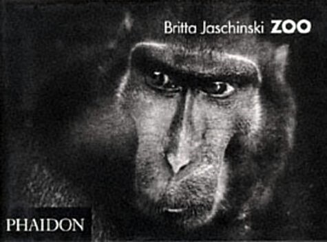 [중고] Zoo (Hardcover)