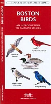 Boston Birds: A Folding Pocket Guide to Familiar Species (Paperback)