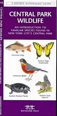 Central Park Wildlife (Paperback, 1st)