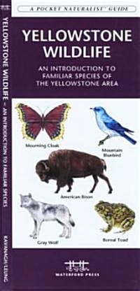 Yellowstone Wildlife: A Folding Pocket Guide to Familiar Animals of the Yellowstone Area (Other)