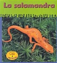 LA Salamandra / Newts (Library, Translation)