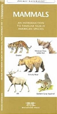 Mammals: An Introduction to Familiar North American Species (Other)