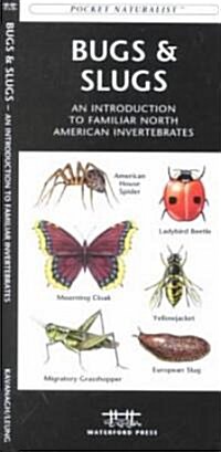 Bugs & Slugs: An Introduction to Familiar North American Invertebrates (Other)