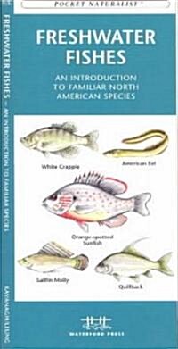 Freshwater Fishes: An Introduction to Familiar North American Species (Other)