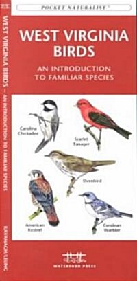 West Virginia Birds: An Introduction to Familiar Species (Paperback)