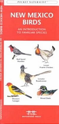 New Mexico Birds: A Folding Pocket Guide to Familiar Species (Paperback)