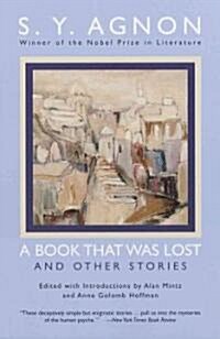 A Book That Was Lost (Paperback)