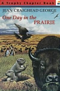 One Day in the Prairie (Paperback)