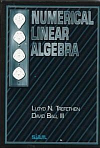 Numerical Linear Algebra (Paperback)
