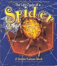 Spider (Paperback)