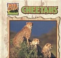 Cheetahs (Library Binding)