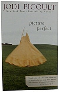 [중고] Picture Perfect (Paperback)