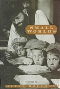 Small Worlds (Hardcover)