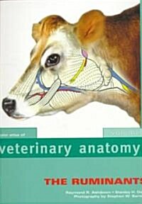 Color Atlas of Veterinary Anatomy (Paperback)