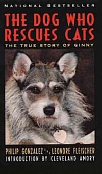 The Dog Who Rescues Cats: True Story of Ginny, the (Paperback)