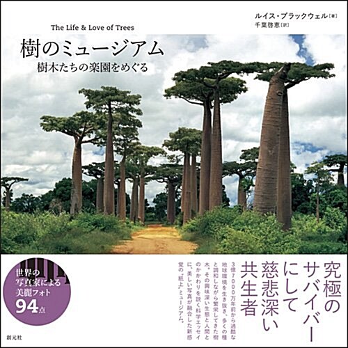 樹のミュ-ジアム: 樹木たちの樂園をめぐる (單行本)