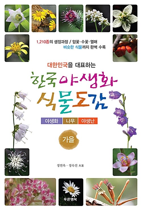 한국 야생화 식물도감 가을