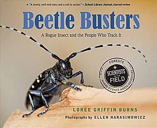 Beetle Busters: A Rogue Insect and the People Who Track It (Paperback)