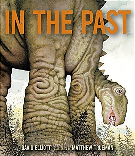 In the Past: From Trilobites to Dinosaurs to Mammoths in More Than 500 Million Years (Hardcover)