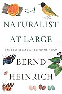 A Naturalist at Large: The Best Essays of Bernd Heinrich (Hardcover)