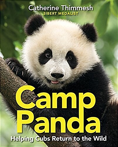 Camp Panda: Helping Cubs Return to the Wild (Hardcover)