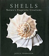 Shells: Natures Exquisite Creations (Hardcover)