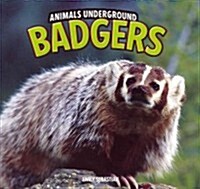 Badgers (Paperback)
