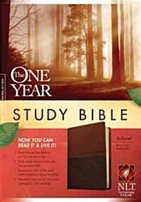 One Year Study Bible-NLT: Arranged in 365 Daily Readings (Imitation Leather)