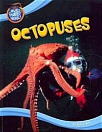 Octopuses (Paperback)