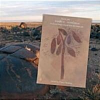 Rock Art Made in Translation: Framing Images from and of the Landscape (Hardcover)