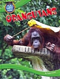 Orangutans (Library Binding)