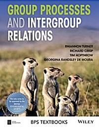 Group Processes and Intergroup Relations (Paperback)