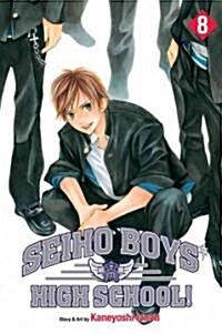 Seiho Boys High School!, Vol. 8 (Paperback, Original)
