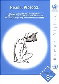 Istanbul Protocol (Paperback)