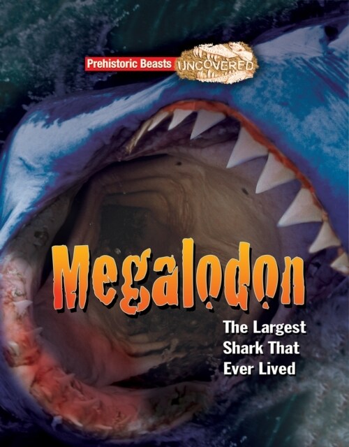 Megalodon : The Largest Shark That Ever Lived (Paperback)