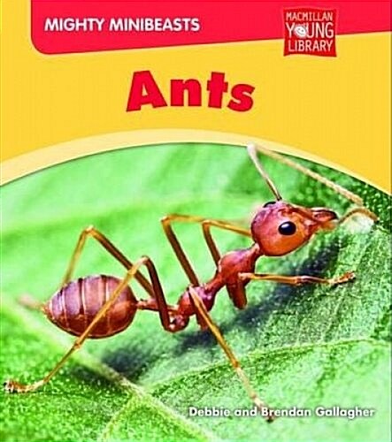 Mighty Minibeasts: Ants (Hardcover)