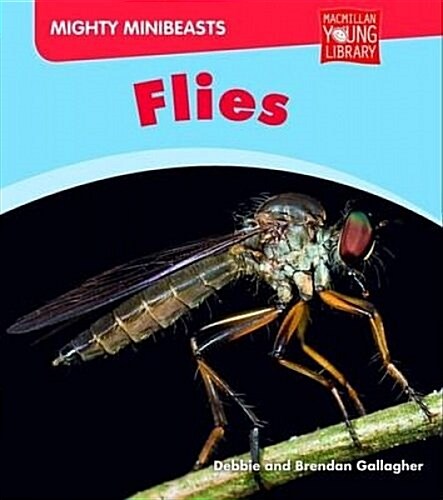 Mighty Minibeasts: Flies (Hardcover)