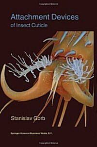 Attachment Devices of Insect Cuticle (Paperback, Softcover Repri)