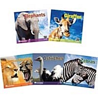 아프리카 시리즈 세트: Africa Animals (Book 5권)