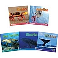 바다 시리즈 세트: Ocean 5 animals (Book 5권)