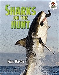 Sharks on the Hunt (Library Binding)