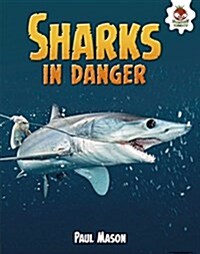 Sharks in Danger (Library Binding)