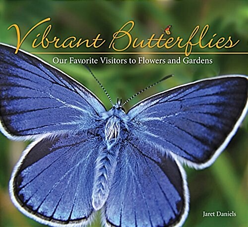 Vibrant Butterflies: Our Favorite Visitors to Flowers and Gardens (Paperback)