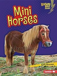 Mini horses 