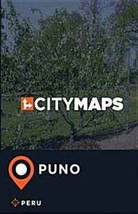 City Maps Puno Peru (Paperback)