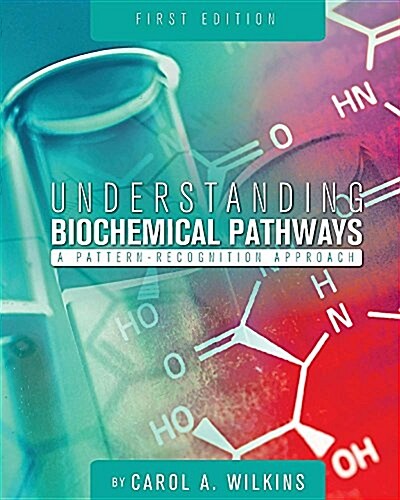 Understanding Biochemical Pathways: A Pattern-Recognition Approach (Paperback)