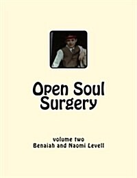 Vol. 2, Open Soul Surgery, Large Print Edition: Seven Flames: Letters to Manasseh (Paperback)