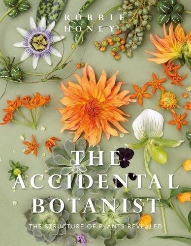 Accidental Botanist : The Structure of Plants Revealed (Hardcover)